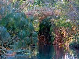 Ciane River and Saline Nature Reserve